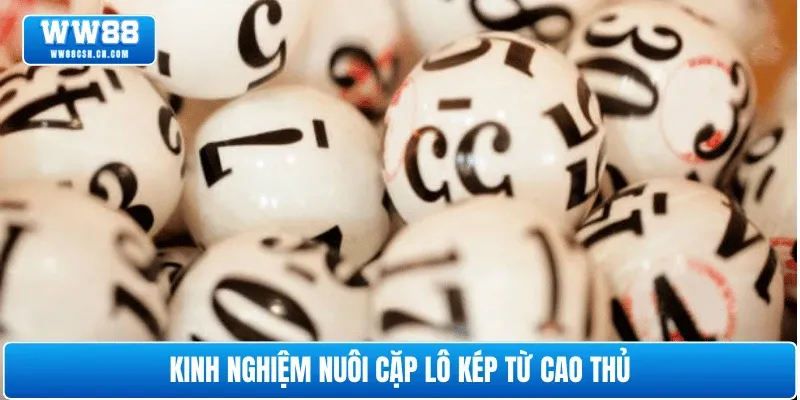 kinh-nghiem-nuoi-cap-lo-kep-khung-3-ngay