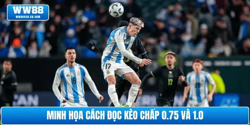 Minh họa cách đọc kèo chấp 0.75 và 1.0